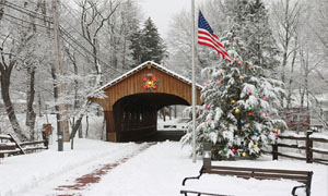 COVERED BRIDGE - MRLEDTECH.COM